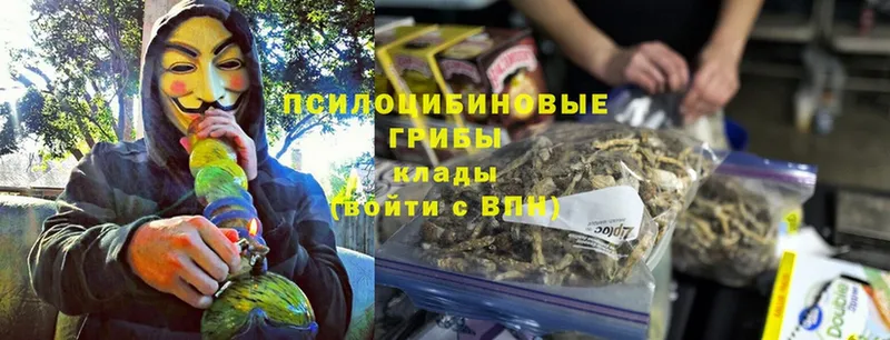 Псилоцибиновые грибы MAGIC MUSHROOMS  Клин 